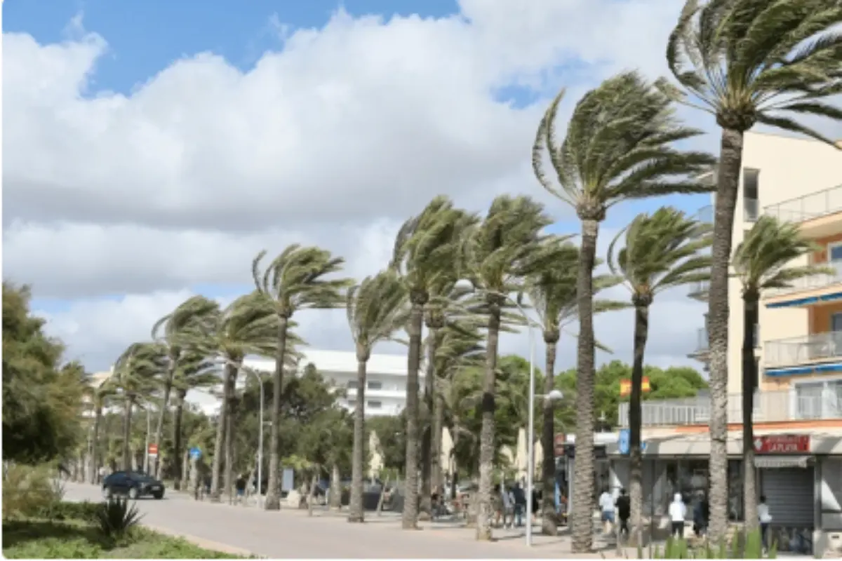 A la par de los fuertes vientos, se han pronosticado bajas probabilidades de lluvias para este día en el país. Foto: Joan Llado