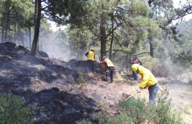 Bajo control el incendio forestal en Laguna Seca en Tenango del Valle