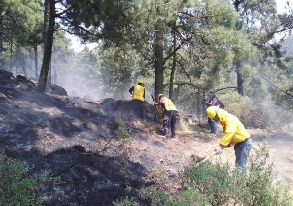 Bajo control el incendio forestal en Laguna Seca en Tenango del Valle