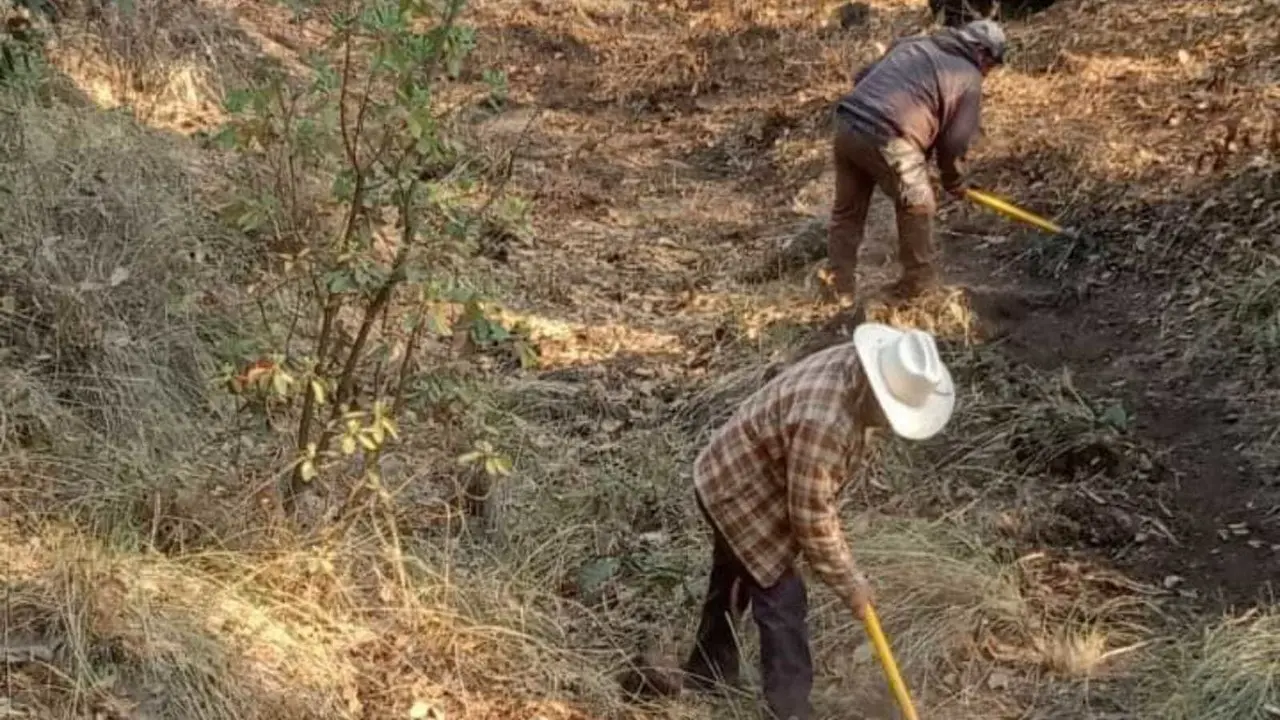 Bajo control el incendio forestal en Laguna Seca en Tenango del Valle