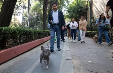 En Caminata Perruna: Martí Batres destaca reformas a la Ley de Protección Animal