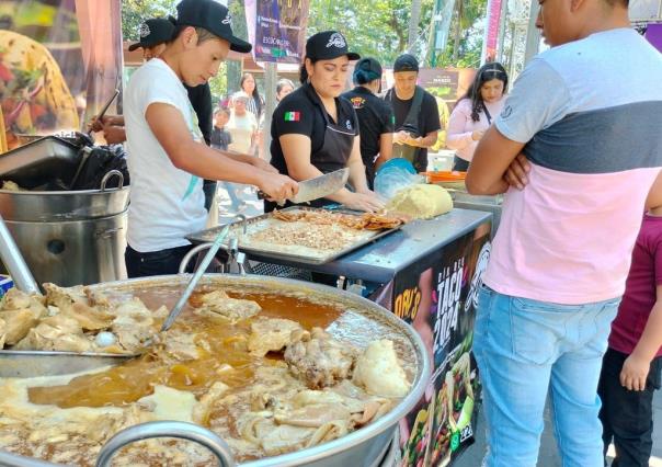 Celebran del Día del Taco en Xalapa, Veracruz