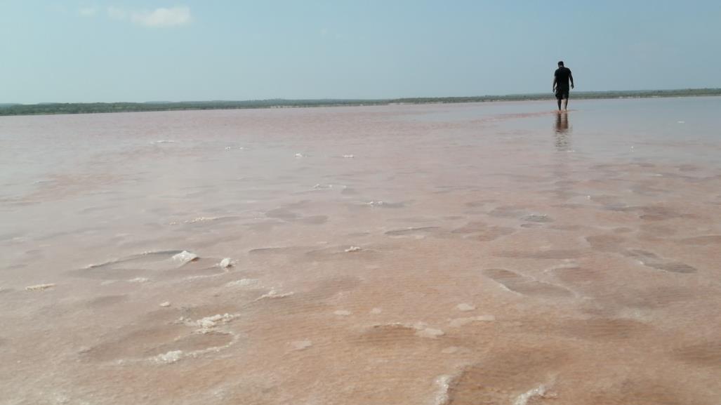 Visita las aguas rosadas a unos minutos de la Pesca Tamaulipas