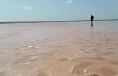 Visita las aguas rosadas a unos minutos de la Pesca Tamaulipas