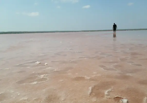 Visita las aguas rosadas a unos minutos de la Pesca Tamaulipas