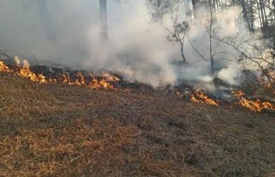 Sigue el incendio forestal en Otumba aseguran habitantes