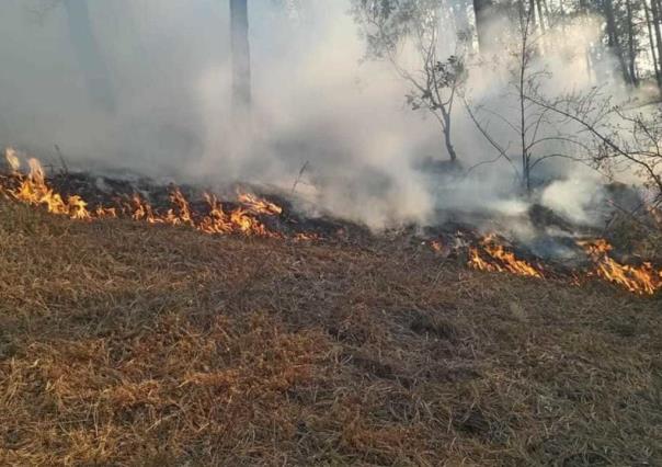 Sigue el incendio forestal en Otumba aseguran habitantes