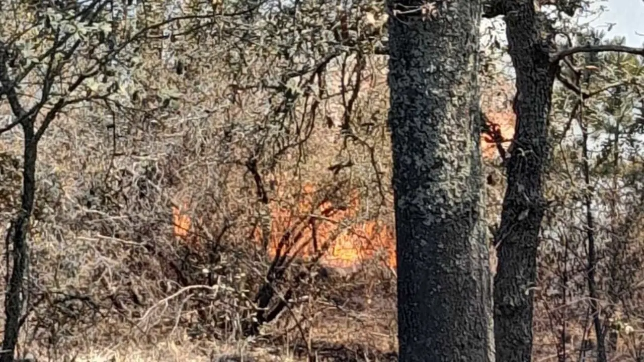 Sigue el incendio forestal en Otumba aseguran habitantes