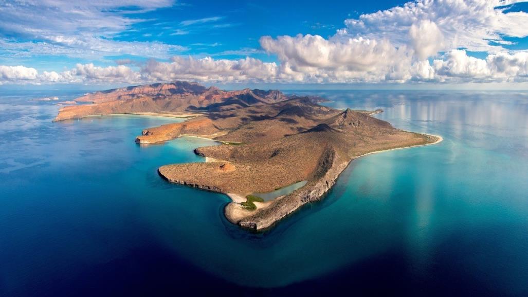 Visita la Isla Espíritu Santo, joya natural de BCS