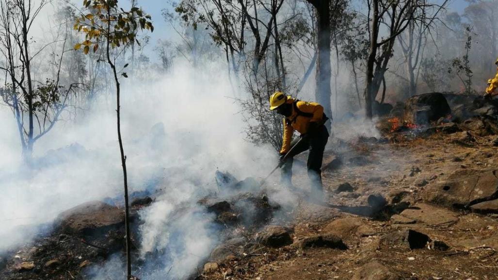 Siguen activos seis incendios forestales en Edomex