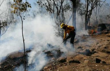 Siguen activos seis incendios forestales en Edomex