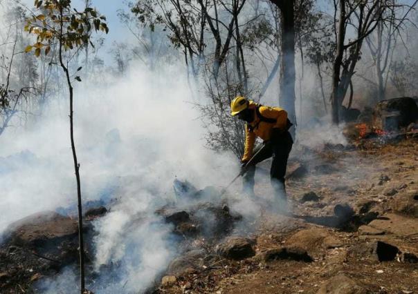 Siguen activos seis incendios forestales en Edomex