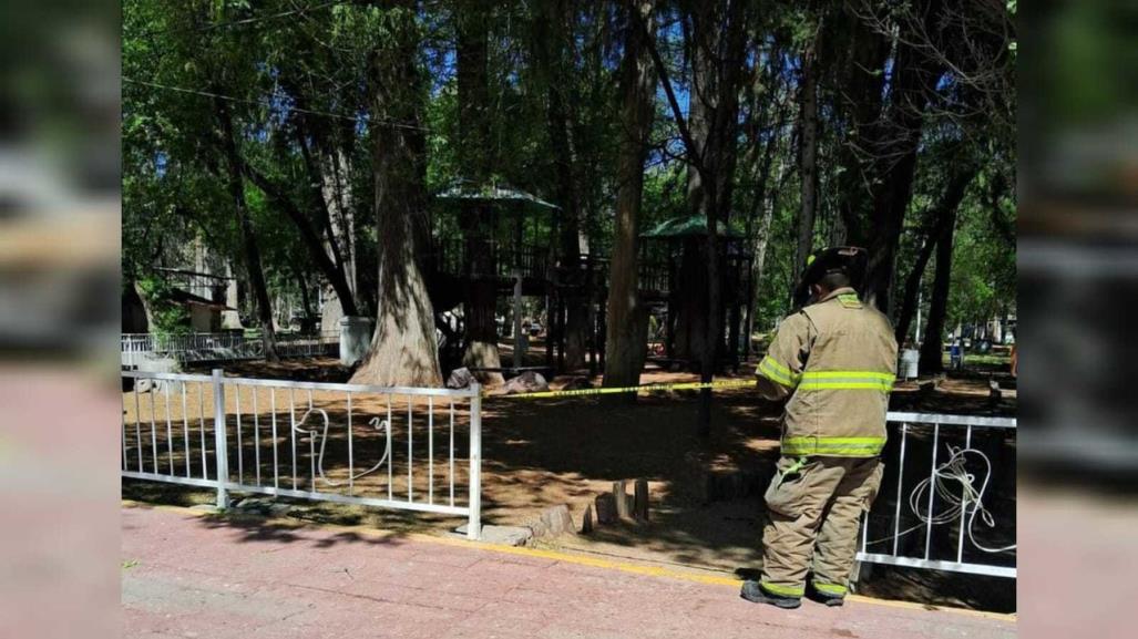 ¡Evita zonas arboladas en Durango!