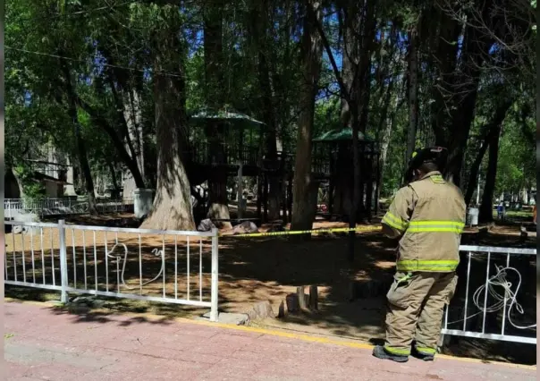 ¡Evita zonas arboladas en Durango!