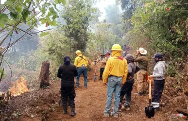 Únete como voluntario para combatir incendios forestales: ¡Conoce las normas!