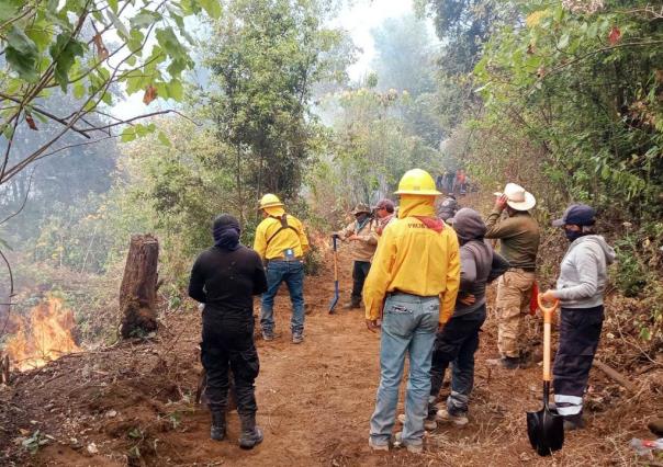 Únete como voluntario para combatir incendios forestales: ¡Conoce las normas!