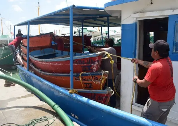 Pescadores yucatecos vuelven a alta mar para la captura del mero