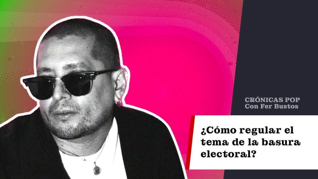 ¿Cómo regular el tema de la basura electoral?