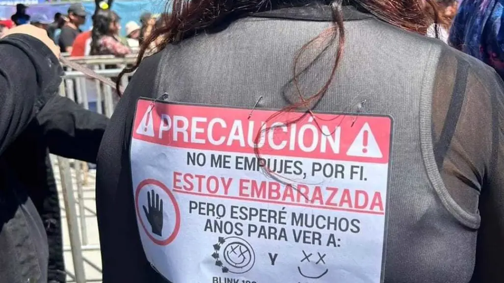 No me empujes, por fi: Mujer embarazada se hace viral en el Pal Norte