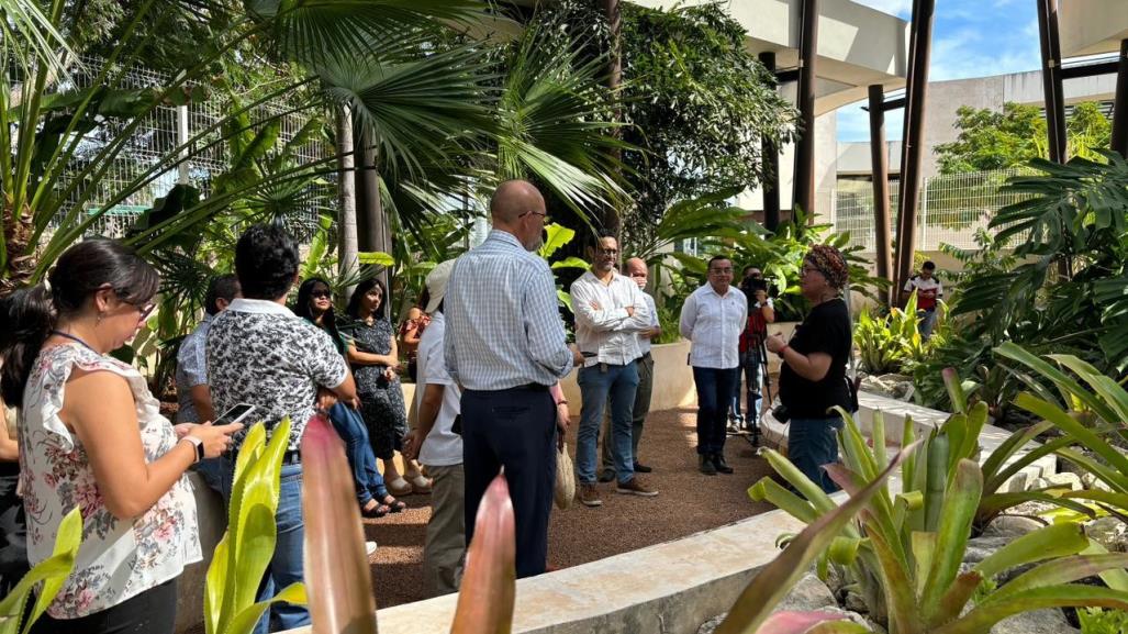 El jardín etnobotánico del CICY ofrecerá visitas guiadas