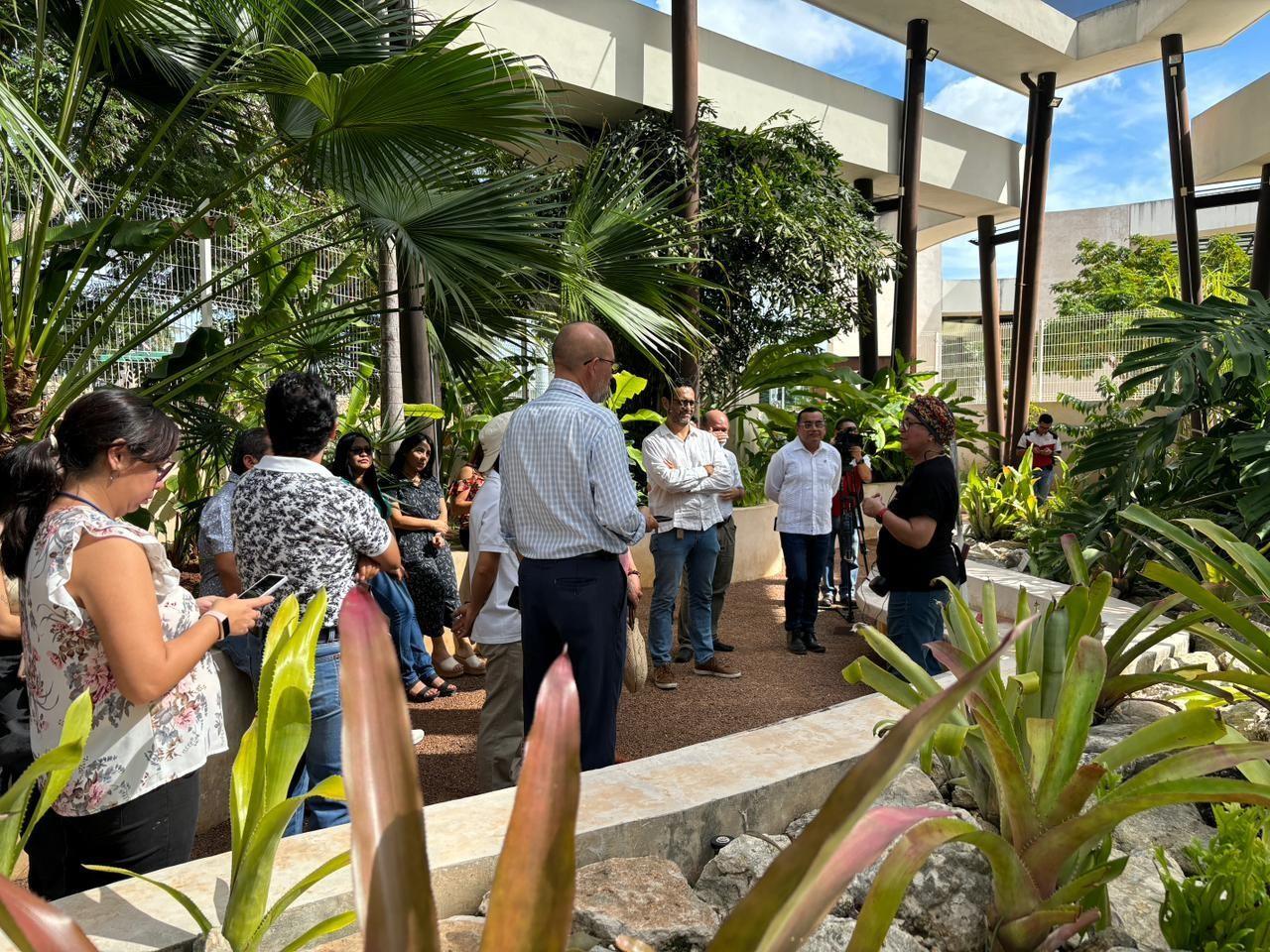 Jardín Botánico Regional Roger Orellana del Centro de Investigación Científica de Yucatán (CICY). Foto: Alejandra Vargas