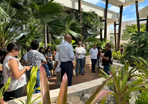 El jardín etnobotánico del CICY ofrecerá visitas guiadas