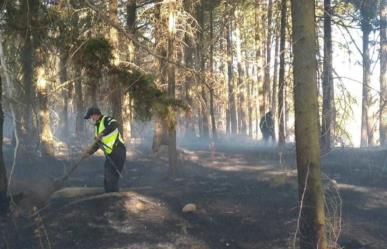 Liquidan 14 incendios forestales en Edomex: Probosque