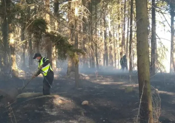 Liquidan 14 incendios forestales en Edomex: Probosque