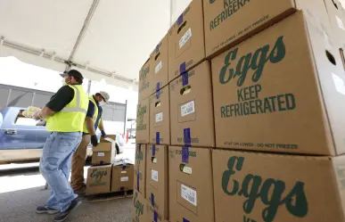 Detienen producción de huevos en planta de Texas por gripe aviar