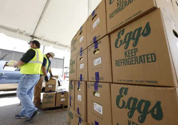 Detienen producción de huevos en planta de Texas por gripe aviar