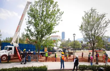 Reforestan con más de 300 árboles la Alameda de Monterrey