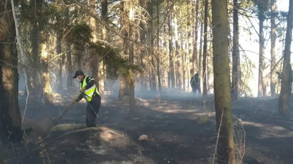 La tecnología empezó a usarse en el combate a los incendios forestales. Imagen: SSEM