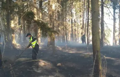 Combate Probosque tres incendios forestales activos en Edomex