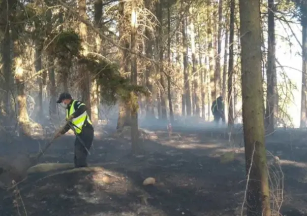 Combate Probosque tres incendios forestales activos en Edomex