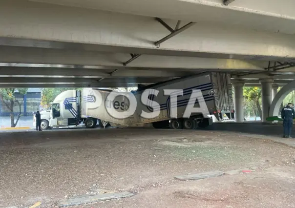 ¡Pobres perritos! Tráiler que transportaba alimento canino se atora bajo puente