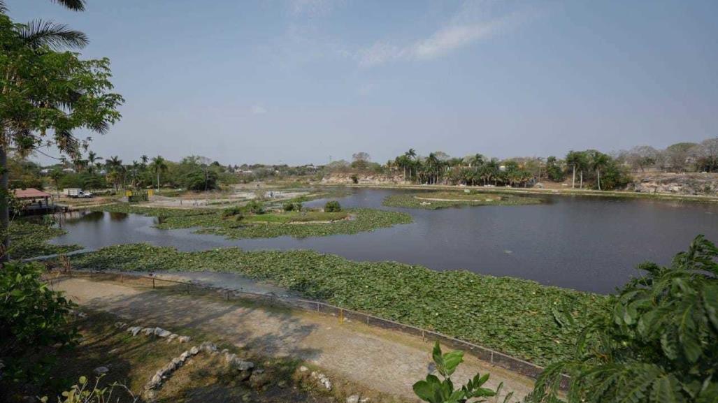 El Acuaparque de Vergel, conoce este oasis al Oriente de Mérida