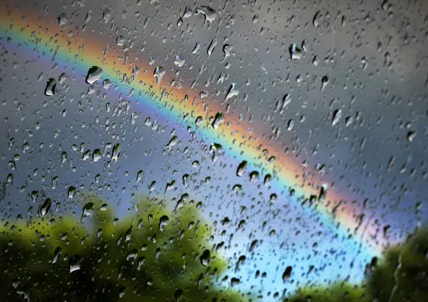 ¡Qué bonito es lo bonito! Feliz día Mundial del Arcoíris