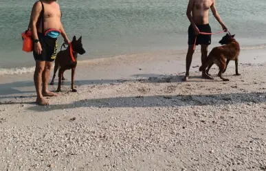 Pelea de perros provoca pleito entre tres hombres en Progreso