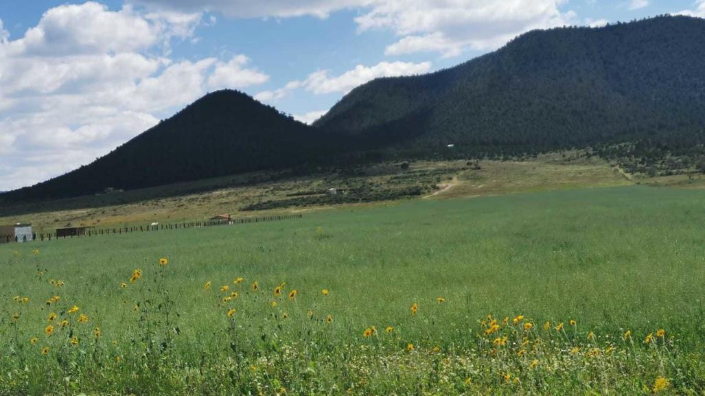 Pide asociación evitar generar y dejar basura en la Sierra de Arteaga