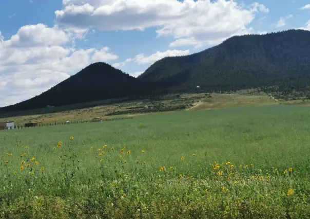 Pide asociación evitar generar y dejar basura en la Sierra de Arteaga