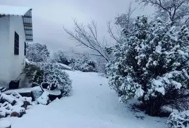 Cae nieve en Chihuahua... en plena primavera