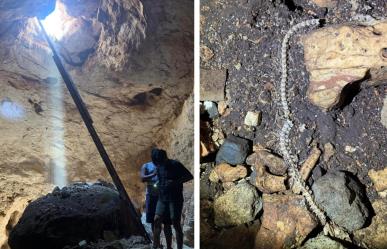 Familia de Yucatán encuentra un cenote en el terreno de su casa