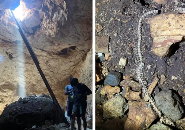 Familia de Yucatán encuentra un cenote en el terreno de su casa