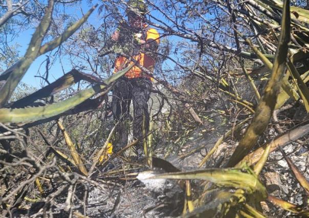 Liquidan incendio forestal en Cerro de las Mitras