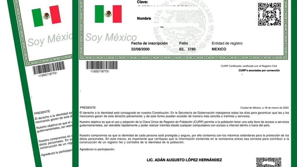 Aquí te explicamos como realizar un trámite o consultar en línea en México