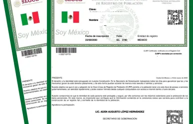 Aquí te explicamos como realizar un trámite o consultar en línea en México