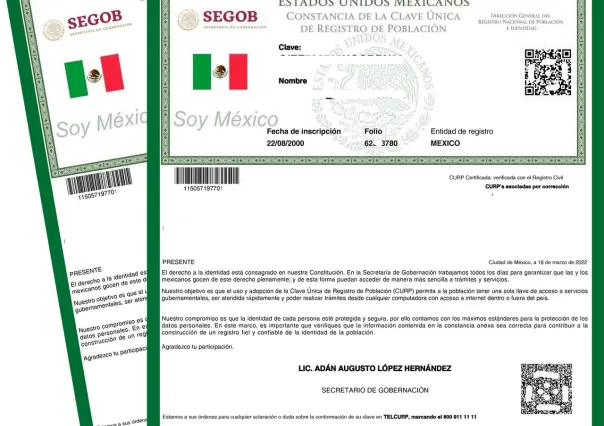 Aquí te explicamos como realizar un trámite o consultar en línea en México