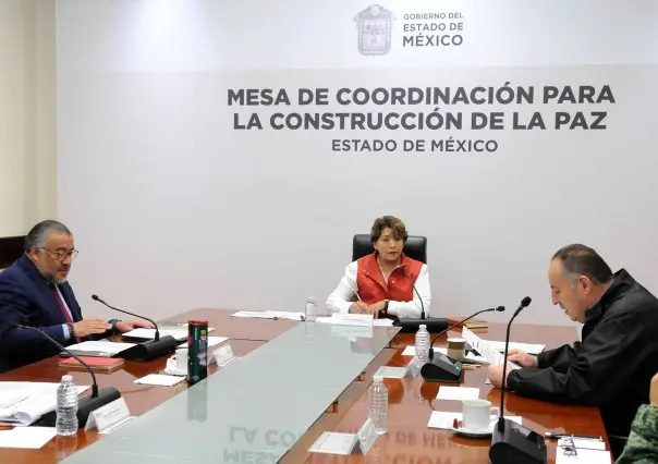 Reconoce Delfina Gómez labor de Sedena en combate de incendios