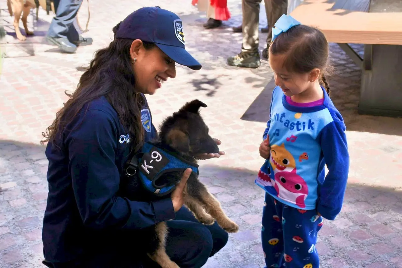 ¡Qué ternura! Busca Policía Estatal de Coahuila un nombre para elemento canino