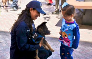 ¡Qué ternura! Busca Policía Estatal de Coahuila un nombre para elemento canino